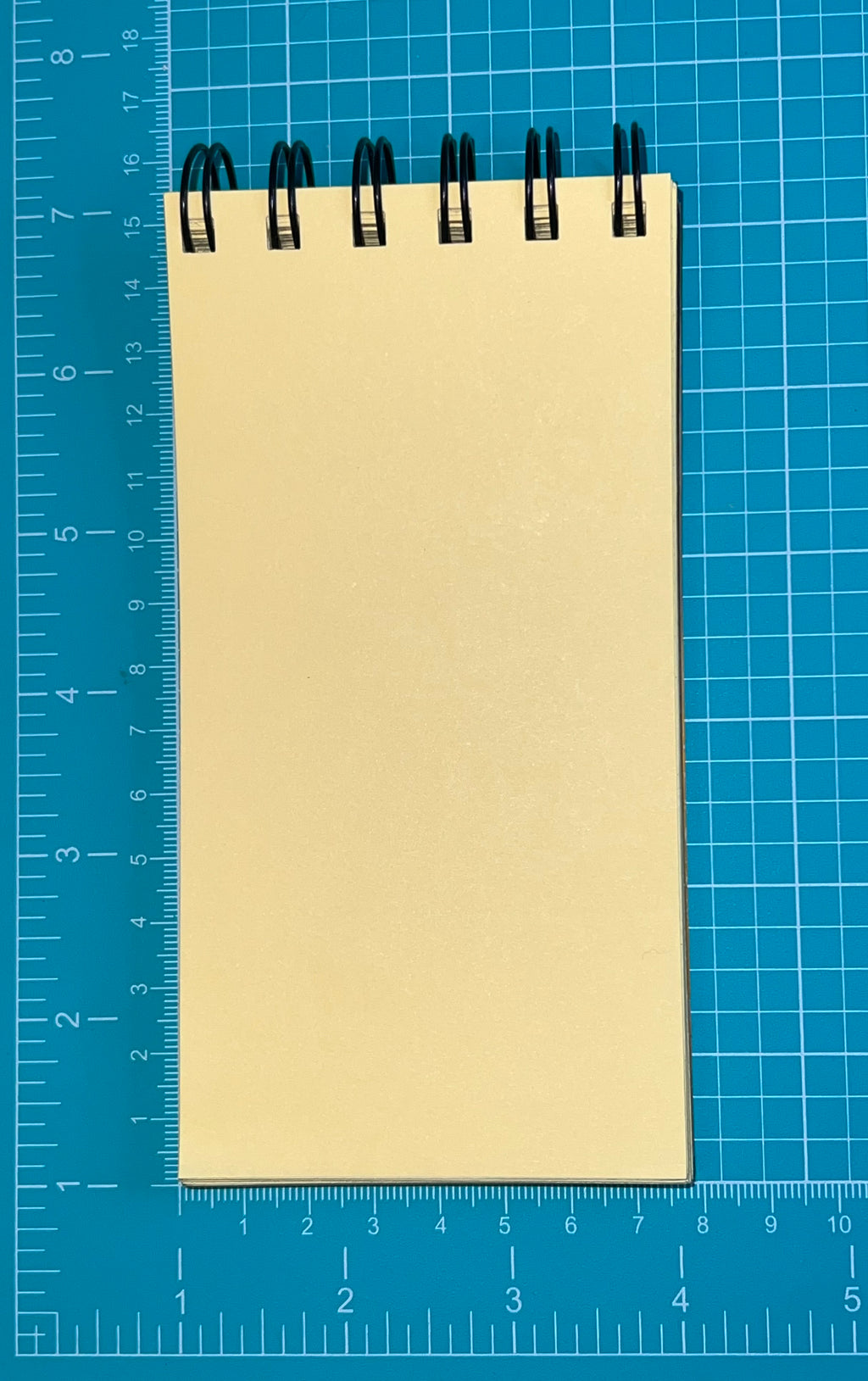 Pocky Spiral Notepad